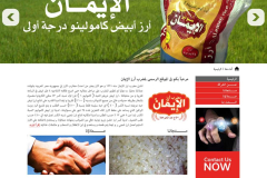 webdesign029
