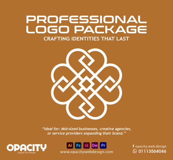 Professional Logo Package