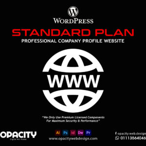 Standard Website Plan