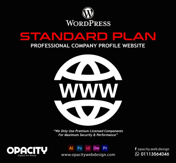 Standard Website Plan