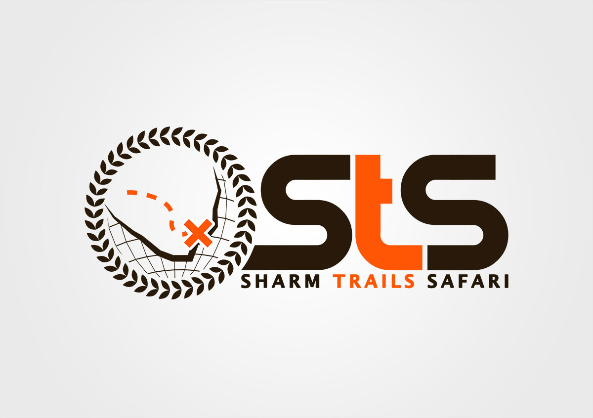 STS Logo Design
